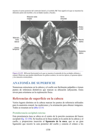 ANATOMIA SNELL 10MA EDICION ESPAÑOL.pdf