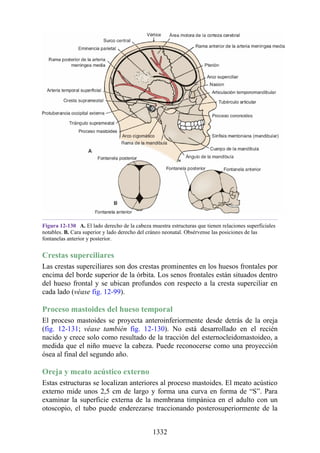 ANATOMIA SNELL 10MA EDICION ESPAÑOL.pdf
