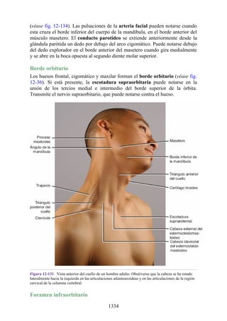 ANATOMIA SNELL 10MA EDICION ESPAÑOL.pdf