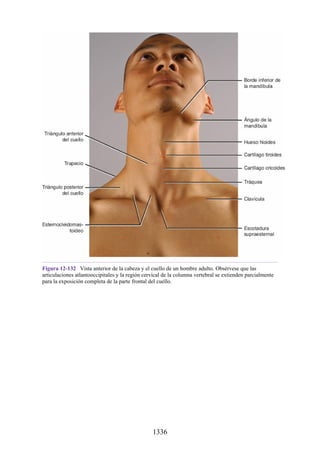 ANATOMIA SNELL 10MA EDICION ESPAÑOL.pdf