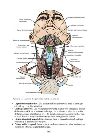 ANATOMIA SNELL 10MA EDICION ESPAÑOL.pdf