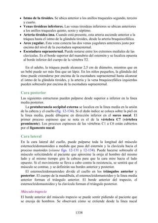 ANATOMIA SNELL 10MA EDICION ESPAÑOL.pdf