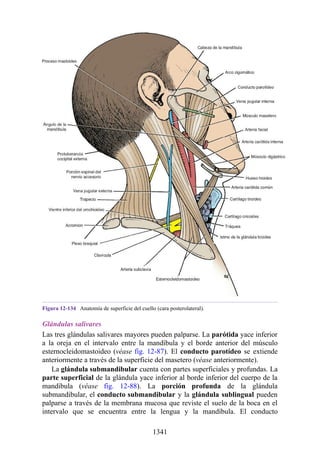 ANATOMIA SNELL 10MA EDICION ESPAÑOL.pdf