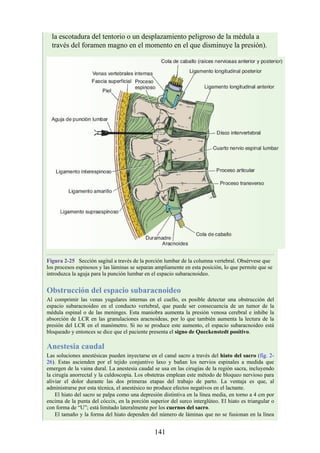 la escotadura del tentorio o un desplazamiento peligroso de la médula a
través del foramen magno en el momento en el que disminuye la presión).
Figura 2-25 Sección sagital a través de la porción lumbar de la columna vertebral. Obsérvese que
los procesos espinosos y las láminas se separan ampliamente en esta posición, lo que permite que se
introduzca la aguja para la punción lumbar en el espacio subaracnoideo.
Obstrucción del espacio subaracnoideo
Al comprimir las venas yugulares internas en el cuello, es posible detectar una obstrucción del
espacio subaracnoideo en el conducto vertebral, que puede ser consecuencia de un tumor de la
médula espinal o de las meninges. Esta maniobra aumenta la presión venosa cerebral e inhibe la
absorción de LCR en las granulaciones aracnoideas, por lo que también aumenta la lectura de la
presión del LCR en el manómetro. Si no se produce este aumento, el espacio subaracnoideo está
bloqueado y entonces se dice que el paciente presenta el signo de Queckenstedt positivo.
Anestesia caudal
Las soluciones anestésicas pueden inyectarse en el canal sacro a través del hiato del sacro (fig. 2-
26). Estas ascienden por el tejido conjuntivo laxo y bañan los nervios espinales a medida que
emergen de la vaina dural. La anestesia caudal se usa en las cirugías de la región sacra, incluyendo
la cirugía anorrectal y la culdoscopia. Los obstetras emplean este método de bloqueo nervioso para
aliviar el dolor durante las dos primeras etapas del trabajo de parto. La ventaja es que, al
administrarse por esta técnica, el anestésico no produce efectos negativos en el lactante.
El hiato del sacro se palpa como una depresión distintiva en la línea media, en torno a 4 cm por
encima de la punta del cóccix, en la porción superior del surco interglúteo. El hiato es triangular o
con forma de “U”; está limitado lateralmente por los cuernos del sacro.
El tamaño y la forma del hiato dependen del número de láminas que no se fusionan en la línea
141
 