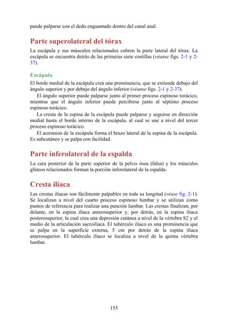 puede palparse con el dedo enguantado dentro del canal anal.
Parte superolateral del tórax
La escápula y sus músculos relacionados cubren la parte lateral del tórax. La
escápula se encuentra detrás de las primeras siete costillas (véanse figs. 2-1 y 2-
37).
Escápula
El borde medial de la escápula crea una prominencia, que se extiende debajo del
ángulo superior y por debajo del ángulo inferior (véanse figs. 2-1 y 2-37).
El ángulo superior puede palparse junto al primer proceso espinoso torácico,
mientras que el ángulo inferior puede percibirse junto al séptimo proceso
espinoso torácico.
La cresta de la espina de la escápula puede palparse y seguirse en dirección
medial hasta el borde interno de la escápula, al cual se une a nivel del tercer
proceso espinoso torácico.
El acromion de la escápula forma el brazo lateral de la espina de la escápula.
Es subcutáneo y se palpa con facilidad.
Parte inferolateral de la espalda
La cara posterior de la parte superior de la pelvis ósea (falsa) y los músculos
glúteos relacionados forman la porción inferolateral de la espalda.
Cresta ilíaca
Las crestas ilíacas son fácilmente palpables en toda su longitud (véase fig. 2-1).
Se localizan a nivel del cuarto proceso espinoso lumbar y se utilizan como
puntos de referencia para realizar una punción lumbar. Las crestas finalizan, por
delante, en la espina ilíaca anterosuperior y, por detrás, en la espina ilíaca
posterosuperior, la cual crea una depresión cutánea a nivel de la vértebra S2 y el
medio de la articulación sacroilíaca. El tubérculo ilíaco es una prominencia que
se palpa en la superficie externa, 5 cm por detrás de la espina ilíaca
anterosuperior. El tubérculo ilíaco se localiza a nivel de la quinta vértebra
lumbar.
155
 