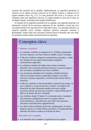 examen del contorno de la espalda. Habitualmente, la superficie posterior es
cóncava en la región cervical, convexa en la región torácica y cóncava en la
región lumbar (véase fig. 2-2). La cara posterior del sacro y el cóccix, en su
conjunto, tiene una superficie convexa. La región lumbar se une con el sacro en
un ángulo agudo, conocido como ángulo lumbosacro.
El examen de la superficie posterior de la espalda, con especial atención a la
alineación vertical de los procesos espinosos de las vértebras, revela una leve
curvatura lateral en la mayoría de los individuos sanos. Las personas diestras, en
especial aquellas cuyos trabajos implican esfuerzo muscular extremo y
prolongado, suelen tener una curvatura torácica hacia la derecha; por otro lado,
las personas zurdas suelen mostrarla hacia la izquierda.
Conceptos clave
Columna vertebral
La columna vertebral se compone de 31 vértebras organizadas
en cinco regiones: cervical, torácica, lumbar, sacra y coccígea.
Todas las vértebras comparten características generales, y todas
las vértebras de una región determinada comparten
características regionales.
La columna vertebral del adulto tiene cuatro curvaturas
naturales: dos curvaturas primarias (torácica y sacrococcígea) y
dos curvaturas secundarias (cervical y lumbar).
Las curvaturas anómalas de la columna vertebral incluyen
cifosis (curvatura torácica exagerada), lordosis (curvatura
cervical o lumbar exagerada) y escoliosis (desviación lateral y
rotación).
Todas las vértebras se han desarrollado a partir de un cuerpo, un
arco vertebral y un par de procesos costales. Los déficits del
desarrollo de estos elementos pueden provocar costillas
accesorias (desde los procesos costales) o espina bífida (por el
fallo en la fusión del arco vertebral).
Las vértebras desde C2 hasta L5 se articulan entre sí mediante
articulaciones cartilaginosas entre los cuerpos (discos
intervertebrales) y articulaciones sinoviales entre procesos
articulares (articulaciones cigapofisiarias).
Los discos intervertebrales tienen dos componentes: el núcleo
pulposo central y el anillo fibroso periférico. El desplazamiento
anómalo del núcleo conduce a la hernia de disco.
Músculos de la espalda
Los músculos de la espalda se organizan en tres grupos.
157
 