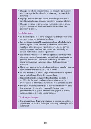 El grupo superficial se compone de los músculos del miembro
superior (trapecio, dorsal ancho, romboides y elevador de la
escápula).
El grupo intermedio consta de dos músculos pequeños de la
pared torácica (serrato posterior superior y posterior inferior).
El grupo profundo se compone de varios músculos de gran y
pequeño tamaño que movilizan la columna vertebral, las
costillas y el cráneo.
Médula espinal
La médula espinal es la parte elongada y cilíndrica del sistema
nervioso central por debajo de la cabeza.
Los nervios espinales (31 pares) se ramifican a los lados de la
médula espinal. Están formados por la fusión sucesiva de
raicillas y raíces anteriores y posteriores. Todos los nervios
espinales pasan a través de un foramen intervertebral y se
dividen en los ramos anterior y posterior.
Las raicillas y raíces de los nervios espinales solo transportan
elementos motores (anteriores) o sensoriales (posteriores) a los
procesos neuronales. Los nervios espinales y los ramos
primarios transmiten elementos mixtos de fibras motoras y
sensitivas.
El extremo terminal de la médula espinal (cono medular) alcanza
aproximadamente el nivel de L1 en el adulto.
La cola de caballo es un haz largo de raíces nerviosas espinales
que se extiende por debajo del cono medular.
Tres membranas (meninges) rodean la médula espinal y el
encéfalo. La duramadre es la membrana más externa; la
aracnoides es la intermedia; la piamadre es la capa más interna.
El líquido cefalorraquídeo llena el espacio subaracnoideo entre
la aracnoides y la piamadre. La punción lumbar es un
procedimiento en el que se introduce una aguja en el espacio
subaracnoideo en la región lumbar inferior.
Técnicas por imagen
Una gran cantidad de características de la espalda son visibles y
palpables en las técnicas de imagen estándar y en la exploración
superficial.
158
 
