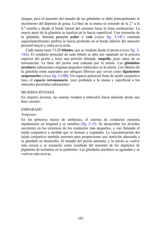 alargan, pero el aumento del tamaño de las glándulas se debe principalmente al
incremento del depósito de grasa. La base de la mama se extiende de la 2.a
a la
6.a
costilla y desde el borde lateral del esternón hasta la línea medioaxilar. La
mayor parte de la glándula se localiza en la fascia superficial. Una extensión de
la glándula, llamada proceso axilar o cola (véase fig. 3-14C) continúa
superolateralmente, perfora la fascia profunda en el borde inferior del músculo
pectoral mayor y entra en la axila.
Cada mama tiene 15-20 lóbulos, que se irradian desde el pezón (véase fig. 3-
14A). El conducto principal de cada lóbulo se abre por separado en la porción
superior del pezón y tiene una porción dilatada, ampolla, justo antes de su
terminación. La base del pezón está rodeada por la aréola. Las glándulas
areolares subyacentes originan pequeños tubérculos en la aréola. Los lóbulos de
la glándula están separados por tabiques fibrosos que sirven como ligamentos
suspensorios (véase fig. 3-14B). Un espacio potencial lleno de tejido conjuntivo
laxo, el espacio retromamario, yace profundo a la mama y superficial a los
músculos pectorales subyacentes.
MUJERES JÓVENES
En mujeres jóvenes, las mamas tienden a sobresalir hacia adelante desde una
base circular.
EMBARAZO
Temprano
En los primeros meses de embarazo, el sistema de conductos aumenta
rápidamente en longitud y se ramifica (fig. 3-15). Se desarrollan los alvéolos
secretores en los extremos de los conductos más pequeños, y van llenando el
tejido conjuntivo a medida que se forman y expanden. La vascularización del
tejido conjuntivo también aumenta para proporcionar una nutrición adecuada a
la glándula en desarrollo. El tamaño del pezón aumenta, y la aréola se vuelve
más oscura y se ensancha como resultado del aumento de los depósitos de
pigmento de melanina en la epidermis. Las glándulas areolares se agrandan y se
vuelven más activas.
183
 