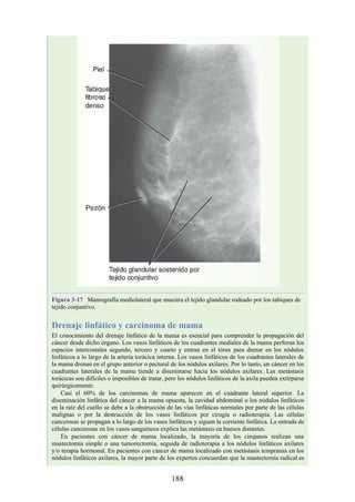 Figura 3-17 Mamografía mediolateral que muestra el tejido glandular rodeado por los tabiques de
tejido conjuntivo.
Drenaje linfático y carcinoma de mama
El conocimiento del drenaje linfático de la mama es esencial para comprender la propagación del
cáncer desde dicho órgano. Los vasos linfáticos de los cuadrantes mediales de la mama perforan los
espacios intercostales segundo, tercero y cuarto y entran en el tórax para drenar en los nódulos
linfáticos a lo largo de la arteria torácica interna. Los vasos linfáticos de los cuadrantes laterales de
la mama drenan en el grupo anterior o pectoral de los nódulos axilares. Por lo tanto, un cáncer en los
cuadrantes laterales de la mama tiende a diseminarse hacia los nódulos axilares. Las metástasis
torácicas son difíciles o imposibles de tratar, pero los nódulos linfáticos de la axila pueden extirparse
quirúrgicamente.
Casi el 60% de los carcinomas de mama aparecen en el cuadrante lateral superior. La
diseminación linfática del cáncer a la mama opuesta, la cavidad abdominal o los nódulos linfáticos
en la raíz del cuello se debe a la obstrucción de las vías linfáticas normales por parte de las células
malignas o por la destrucción de los vasos linfáticos por cirugía o radioterapia. Las células
cancerosas se propagan a lo largo de los vasos linfáticos y siguen la corriente linfática. La entrada de
células cancerosas en los vasos sanguíneos explica las metástasis en huesos distantes.
En pacientes con cáncer de mama localizado, la mayoría de los cirujanos realizan una
mastectomía simple o una tumorectomía, seguida de radioterapia a los nódulos linfáticos axilares
y/o terapia hormonal. En pacientes con cáncer de mama localizado con metástasis tempranas en los
nódulos linfáticos axilares, la mayor parte de los expertos concuerdan que la mastectomía radical es
188
 