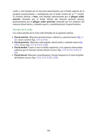 cuello y está limitado por la clavícula anteriormente, por el borde superior de la
escápula posteriormente, y medialmente por el borde externo de la 1.a
costilla.
El extremo inferior, o base, está limitado anteriormente por el pliegue axilar
anterior (formado por el borde inferior del músculo pectoral mayor),
posteriormente por el pliegue axilar posterior (formado por los tendones del
músculo dorsal ancho y redondo mayor) y medialmente por la pared torácica.
Paredes de la axila
Las cuatro paredes de la axila están formadas de la siguiente manera:
Pared anterior. Músculos pectoral mayor, subclavio y pectoral menor (fig. 3-
22; véanse también figs. 3-11 a 3-13).
Pared posterior. Músculos subescapular, dorsal ancho y redondo mayor (fig.
3-23; véanse figs. 3-11 a 3-13 y 3-22).
Pared medial. Cuatro o cinco costillas superiores y los espacios intercostales
cubiertos por el músculo serrato anterior (véanse figs. 3-11 a 3-13, 3-22 y 3-
23).
Pared lateral. Músculos coracobraquial y bíceps braquial en el surco bicipital
del húmero (véanse figs. 3-12, 3-13, 3-22 y 3-23).
194
 