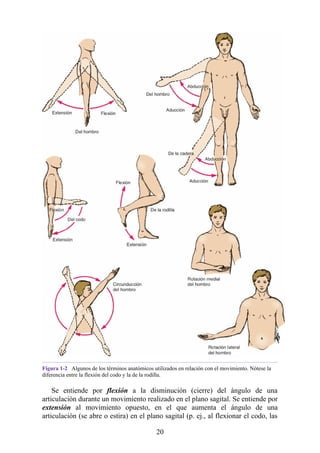 Figura 1-2 Algunos de los términos anatómicos utilizados en relación con el movimiento. Nótese la
diferencia entre la flexión del codo y la de la rodilla.
Se entiende por flexión a la disminución (cierre) del ángulo de una
articulación durante un movimiento realizado en el plano sagital. Se entiende por
extensión al movimiento opuesto, en el que aumenta el ángulo de una
articulación (se abre o estira) en el plano sagital (p. ej., al flexionar el codo, las
20
 