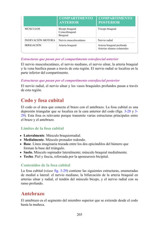 COMPARTIMENTO
ANTERIOR
COMPARTIMENTO
POSTERIOR
MÚSCULOS Bíceps braquial
Coracobraquial
Braquial
Tríceps braquial
INERVACIÓN MOTORA Nervio musculocutáneo Nervio radial
IRRIGACIÓN Arteria braquial Arteria braquial profunda
Arterias ulnares colaterales
Estructuras que pasan por el compartimento osteofascial anterior
El nervio musculocutáneo, el nervio mediano, el nervio ulnar, la arteria braquial
y la vena basílica pasan a través de esta región. El nervio radial se localiza en la
parte inferior del compartimento.
Estructuras que pasan por el compartimento osteofascial posterior
El nervio radial, el nervio ulnar y los vasos braquiales profundos pasan a través
de esta región.
Codo y fosa cubital
El codo es el área que conecta el brazo con el antebrazo. La fosa cubital es una
depresión triangular que se localiza en la cara anterior del codo (figs. 3-28 y 3-
29). Esta fosa es relevante porque transmite varias estructuras principales entre
el brazo y el antebrazo.
Límites de la fosa cubital
Lateralmente. Músculo braquiorradial.
Medialmente. Músculo pronador redondo.
Base. Línea imaginaria trazada entre los dos epicóndilos del húmero que
forman la base del triángulo.
Suelo. Músculo supinador lateralmente; músculo braquial medialmente.
Techo. Piel y fascia, reforzada por la aponeurosis bicipital.
Contenidos de la fosa cubital
La fosa cubital (véase fig. 3-29) contiene las siguientes estructuras, enumeradas
de medial a lateral: el nervio mediano, la bifurcación de la arteria braquial en
arterias ulnar y radial, el tendón del músculo bíceps, y el nervio radial con su
ramo profundo.
Antebrazo
El antebrazo es el segmento del miembro superior que se extiende desde el codo
hasta la muñeca.
203
 