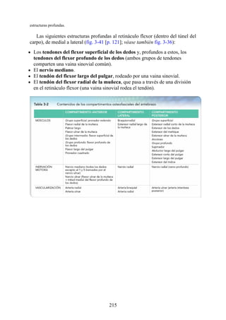estructuras profundas.
Las siguientes estructuras profundas al retináculo flexor (dentro del túnel del
carpo), de medial a lateral (fig. 3-41 [p. 121]; véase también fig. 3-36):
Los tendones del flexor superficial de los dedos y, profundos a estos, los
tendones del flexor profundo de los dedos (ambos grupos de tendones
comparten una vaina sinovial común).
El nervio mediano.
El tendón del flexor largo del pulgar, rodeado por una vaina sinovial.
El tendón del flexor radial de la muñeca, que pasa a través de una división
en el retináculo flexor (una vaina sinovial rodea el tendón).
215
 