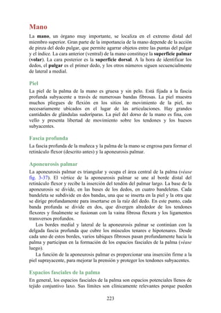 Mano
La mano, un órgano muy importante, se localiza en el extremo distal del
miembro superior. Gran parte de la importancia de la mano depende de la acción
de pinza del dedo pulgar, que permite agarrar objetos entre las puntas del pulgar
y el índice. La cara anterior (ventral) de la mano constituye la superficie palmar
(volar). La cara posterior es la superficie dorsal. A la hora de identificar los
dedos, el pulgar es el primer dedo, y los otros números siguen secuencialmente
de lateral a medial.
Piel
La piel de la palma de la mano es gruesa y sin pelo. Está fijada a la fascia
profunda subyacente a través de numerosas bandas fibrosas. La piel muestra
muchos pliegues de flexión en los sitios de movimiento de la piel, no
necesariamente ubicados en el lugar de las articulaciones. Hay grandes
cantidades de glándulas sudoríparas. La piel del dorso de la mano es fina, con
vello y presenta libertad de movimiento sobre los tendones y los huesos
subyacentes.
Fascia profunda
La fascia profunda de la muñeca y la palma de la mano se engrosa para formar el
retináculo flexor (descrito antes) y la aponeurosis palmar.
Aponeurosis palmar
La aponeurosis palmar es triangular y ocupa el área central de la palma (véase
fig. 3-37). El vértice de la aponeurosis palmar se une al borde distal del
retináculo flexor y recibe la inserción del tendón del palmar largo. La base de la
aponeurosis se divide, en las bases de los dedos, en cuatro bandeletas. Cada
bandeleta se subdivide en dos bandas, una que se inserta en la piel y la otra que
se dirige profundamente para insertarse en la raíz del dedo. En este punto, cada
banda profunda se divide en dos, que divergen alrededor de los tendones
flexores y finalmente se fusionan con la vaina fibrosa flexora y los ligamentos
transversos profundos.
Los bordes medial y lateral de la aponeurosis palmar se continúan con la
delgada fascia profunda que cubre los músculos tenares e hipotenares. Desde
cada uno de estos bordes, varios tabiques fibrosos pasan profundamente hacia la
palma y participan en la formación de los espacios fasciales de la palma (véase
luego).
La función de la aponeurosis palmar es proporcionar una inserción firme a la
piel suprayacente, para mejorar la prensión y proteger los tendones subyacentes.
Espacios fasciales de la palma
En general, los espacios fasciales de la palma son espacios potenciales llenos de
tejido conjuntivo laxo. Sus límites son clínicamente relevantes porque pueden
223
 