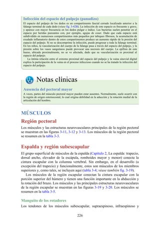 Infección del espacio del pulpejo (panadizo)
El espacio del pulpejo de los dedos es un compartimento fascial cerrado localizado anterior a la
falange terminal de cada dedo (véase fig. 3-42B). La infección de este espacio es frecuente y grave,
y aparece con mayor frecuencia en los dedos pulgar e índice. Las bacterias suelen penetrar en el
espacio por heridas punzantes con, por ejemplo, agujas de coser. Dado que cada espacio está
subdividido en numerosos compartimentos más pequeños por tabiques fibrosos, la acumulación de
exudado inflamatorio dentro de estos compartimentos produce un aumento rápido de la presión del
espacio del pulpejo. Si no se descomprime la infección, puede progresar a toda la falange terminal.
En los niños, la vascularización del cuerpo de la falange pasa a través del espacio del pulpejo, y la
presión sobre los vasos sanguíneos puede provocar una necrosis del cuerpo. La epífisis de este
hueso, ubicada proximalmente, no se ve afectada, dado que su vascularización es proximal al
espacio del pulpejo.
La íntima relación entre el extremo proximal del espacio del pulpejo y la vaina sinovial digital
explica la participación de la vaina en el proceso infeccioso cuando no se ha tratado la infección del
espacio del pulpejo.
Notas clínicas
Ausencia del pectoral mayor
A veces, partes del músculo pectoral mayor pueden estar ausentes. Normalmente, suele ocurrir con
la región de origen esternocostal, lo cual origina debilidad en la aducción y la rotación medial de la
articulación del hombro.
MÚSCULOS
Región pectoral
Los músculos y las estructuras neurovasculares principales de la región pectoral
se muestran en las figuras 3-11, 3-12 y 3-13. Los músculos de la región pectoral
se resumen en la tabla 3-3.
Espalda y región subescapular
El grupo superficial de músculos de la espalda (Capítulo 2, La espalda: trapecio,
dorsal ancho, elevador de la escápula, romboides mayor y menor) conecta la
cintura escapular con la columna vertebral. Sin embargo, en el desarrollo (a
excepción del trapecio) y funcionalmente, estos son músculos de los miembros
superiores y, como tales, se incluyen aquí (tabla 3-4; véase también fig. 3-19).
Los músculos de la región escapular conectan la cintura escapular con la
porción superior del húmero y tienen una función importante en la abducción y
la rotación del brazo. Los músculos y las principales estructuras neurovasculares
de la región escapular se muestran en las figuras 3-19 y 3-20. Los músculos se
resumen en la tabla 3-5.
Manguito de los rotadores
Los tendones de los músculos subescapular, supraespinoso, infraespinoso y
226
 
