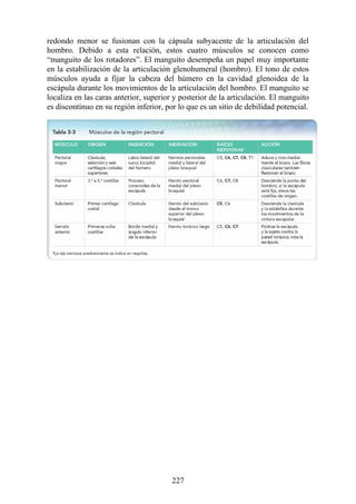 redondo menor se fusionan con la cápsula subyacente de la articulación del
hombro. Debido a esta relación, estos cuatro músculos se conocen como
“manguito de los rotadores”. El manguito desempeña un papel muy importante
en la estabilización de la articulación glenohumeral (hombro). El tono de estos
músculos ayuda a fijar la cabeza del húmero en la cavidad glenoidea de la
escápula durante los movimientos de la articulación del hombro. El manguito se
localiza en las caras anterior, superior y posterior de la articulación. El manguito
es discontinuo en su región inferior, por lo que es un sitio de debilidad potencial.
227
 