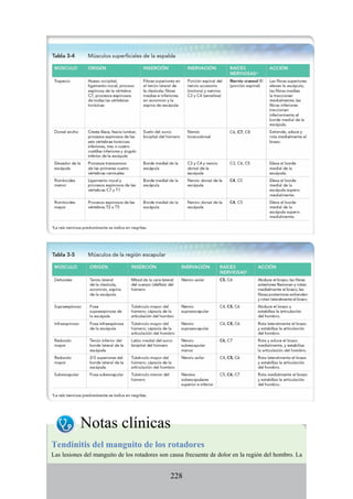 Notas clínicas
Tendinitis del manguito de los rotadores
Las lesiones del manguito de los rotadores son causa frecuente de dolor en la región del hombro. La
228
 