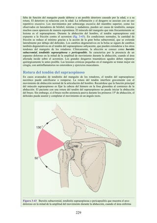 falta de función del manguito puede deberse a un posible deterioro causado por la edad, o a su
rotura. El deterioro se relaciona con la edad. La inflamación y el desgarro se asocian con un uso
repetitivo excesivo. Los movimientos por sobrecarga excesiva del miembro superior, como los
observados en lanzadores de béisbol, tenistas y nadadores, pueden ser causa de tendinitis, aunque
muchos casos aparecen de manera espontánea. El músculo del manguito que más frecuentemente se
lesiona es el supraespinoso. Durante la abducción del hombro, el tendón supraespinoso está
expuesto a la fricción contra el acromion (fig. 3-43). En condiciones normales, la cantidad de
fricción se reduce al mínimo gracias a la acción de la gran bolsa subacromial, que se extiende
lateralmente por debajo del deltoides. Los cambios degenerativos en la bolsa se siguen de cambios
también degenerativos en el tendón del supraespinoso subyacente, que pueden extenderse a los otros
tendones del manguito de los rotadores. Clínicamente, la afección se conoce como bursitis
subacromial, tendinitis supraespinosa o pericapsulitis. Se caracteriza por la presencia de un
espasmo doloroso en la mitad de la amplitud de movimiento durante la abducción, cuando el área
afectada incide sobre el acromion. Los grandes desgarros traumáticos agudos deben repararse
quirúrgicamente lo antes posible. Las lesiones crónicas pequeñas en el manguito se tratan mejor sin
cirugía, con antiinflamatorios no esteroideos y ejercicios musculares.
Rotura del tendón del supraespinoso
En casos avanzados de tendinitis del manguito de los rotadores, el tendón del supraespinoso
necrótico puede calcificarse o romperse. La rotura del tendón interfiere gravemente con el
movimiento de abducción normal de la articulación del hombro. Recuérdese que la función principal
del músculo supraespinoso es fijar la cabeza del húmero en la fosa glenoidea al comienzo de la
abducción. El paciente con una rotura del tendón del supraespinoso no puede iniciar la abducción
del brazo. Sin embargo, si el brazo recibe asistencia pasiva durante los primeros 15º de abducción, el
deltoides puede asumir y completar el movimiento en un ángulo recto.
Figura 3-43 Bursitis subacromial, tendinitis supraespinosa o pericapsulitis que muestra el arco
doloroso en la mitad de la amplitud del movimiento durante la abducción, cuando el área enferma
229
 