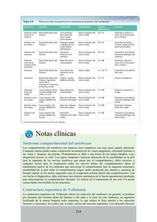 Notas clínicas
Síndrome compartimental del antebrazo
Los compartimentos del antebrazo son espacios muy compactos con muy poco espacio adicional.
Cualquier edema puede causar compresión secundaria de los vasos sanguíneos, afectando primero a
las venas y, después, las arterias. Normalmente se debe a una lesión de los tejidos blandos, cuyo
diagnóstico precoz es vital. Los signos tempranos incluyen alteración de la sensibilidad en la piel
(por la isquemia de los nervios sensitivos que pasan por el compartimento), dolor excesivo a
cualquier lesión (por la compresión sobre los nervios dentro del compartimento), dolor al
estiramiento pasivo de los músculos que atraviesan el compartimento (por la isquemia muscular),
sensibilidad de la piel sobre el compartimento (signo tardío producido por edema) y ausencia de
llenado capilar en los lechos ungueales (por la compresión arterial dentro del compartimento). Una
vez hecho el diagnóstico, debe realizarse una insición quirúrgica en la fascia (aponeurosis) profunda
para descomprimir el compartimento afectado. Un retraso en el tratamiento de tan solo 4 h puede
causar daños irreversibles en los músculos.
Contractura isquémica de Volkmann
La contractura isquémica de Volkmann afecta los músculos del antebrazo; en general, se produce
por fracturas del extremo distal del húmero o del radio y la ulna. En este síndrome, un segmento
localizado de la arteria braquial sufre espasmos, lo que reduce el flujo arterial a los músculos
flexores y extensores, los cuales, por lo tanto, sufren una necrosis isquémica. Los músculos flexores
234
 