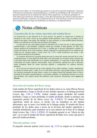interóseos de los dedos. A. Vista lateral que muestra la acción de los músculos lumbricales e interóseos
al flexionar las articulaciones metacarpofalángicas y extender las interfalángicas. B. Vista anterior que
muestra la disposición de los tendones del músculo flexor superficial y los músculos profundos. C.
Vista oblicua que muestra las vínculas largas y cortas. D. Vista posterior que ilustra la relación entre los
músculos lumbricales e interóseos con la expansión dorsal. E. Vista lateral que muestra las relaciones
de los tendones del flexor largo, los lumbricales, los interóseos y la expansión dorsal.
Notas clínicas
Tenosinovitis de las vainas sinoviales del tendón flexor
La tenosinovitis es una infección de la vaina sinovial. En general, se origina por la entrada de
bacterias en una vaina a través de una pequeña herida punzante, como la que se produce con la
punta de una aguja o una espina. Sin embargo, en raras ocasiones, la vaina también puede infectarse
debido a la extensión de una infección del espacio del pulpejo.
La infección de una vaina digital produce la distensión de la vaina con pus; el dedo permanece
semiflexionado y está hinchado. Cualquier intento por extender el dedo produce un dolor muy
intenso producto del estiramiento de la vaina. A medida que el proceso inflamatorio continúa, la
presión del interior de la vaina aumenta y puede comprimir la vascularización de los tendones que
viajan por las vínculas largas y cortas (véase fig. 3-47C). Puede producirse una rotura o una
cicatrización anómala de los tendones.
Un aumento adicional de la presión puede provocar la rotura del extremo proximal de la vaina.
Anatómicamente, la vaina digital del dedo índice está relacionada con el espacio tenar, mientras que
la del dedo anular está relacionada con el espacio mediopalmar. La vaina para el dedo medio está
relacionada con ambos espacios mencionados. Estas asociaciones explican por qué la infección
puede extenderse desde las vainas sinoviales digitales y comprometer los espacios fasciales
palmares.
En el caso de una infección de las vainas digitales de los dedos meñique y pulgar, rápidamente
se afectan las bolsas ulnar y radial. Si no se trata dicha infección, el pus puede escapar a través de
los extremos proximales de estas bolsas y entrar en el espacio fascial del antebrazo entre el flexor
profundo de los dedos superficialmente y el pronador cuadrado y la membrana interósea a un nivel
más profundo. Este espacio fascial del antebrazo suele conocerse clínicamente como espacio de
Parona.
Inserción del tendón del flexor largo
Cada tendón del flexor superficial de los dedos entra en su vaina fibrosa flexora
correspondiente y luego se divide en dos mitades opuestas a la falange proximal
(véanse figs. 3-44 y 3-47B). Ambas mitades pasan alrededor del tendón
profundo y luego se unen profundas al tendón profundo, donde se produce una
separación parcial de las fibras (véase fig. 3-47B,E). El tendón del flexor
superficial, unido de nuevo, se divide casi de inmediato en dos bandas
adicionales, que se unen a los bordes de la falange media. El tendón del flexor
profundo de los dedos pasa a través de la división del tendón superficial y
continúa distalmente, para insertarse en la cara anterior de la base de la falange
distal (véanse figs. 3-44 y 3-47B,E). El resultado general es un “efecto de tipo
ojal”, en el cual el tendón del flexor superficial dividido sirve como ojal para el
paso del tendón profundo.
Músculo palmar corto
El pequeño músculo palmar corto (véase fig. 3-37) se origina en el retináculo
242
 