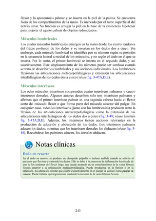 flexor y la aponeurosis palmar y se inserta en la piel de la palma. Se encuentra
fuera de los compartimentos de la mano. Es inervado por el ramo superficial del
nervio ulnar. Su función es arrugar la piel en la base de la eminencia hipotenar
para mejorar el agarre palmar de objetos redondeados.
Músculos lumbricales
Los cuatro músculos lumbricales emergen en la mano desde los cuatro tendones
del flexor profundo de los dedos y se insertan en los dedos dos a cinco. Sin
embargo, cada músculo lumbrical se identifica por su número según su posición
en la secuencia lateral a medial de los músculos, y no según el dedo en el que se
inserta. Por lo tanto, el primer lumbrical se inserta en el segundo dedo, y así
sucesivamente. Este desplazamiento de los números puede ser confuso cuando
se trata de describir los lumbricales y sus acciones individuales. Los lumbricales
flexionan las articulaciones metacarpofalángicas y extienden las articulaciones
interfalángicas de los dedos dos a cinco (véase fig. 3-47A,D,E).
Músculos interóseos
Los ocho músculos interóseos comprenden cuatro interóseos palmares y cuatro
interóseos dorsales. Algunos autores describen solo tres interóseos palmares y
afirman que el primer interóseo palmar es una segunda cabeza hacia el flexor
corto del músculo flexor o que forma parte del músculo aductor del pulgar. En
cualquier caso, todos los interóseos (junto con los lumbricales) producen tanto la
flexión de las articulaciones metacarpofalángicas como la extensión de las
articulaciones interfalángicas de los dedos dos a cinco (fig. 3-48; véase también
fig. 3-47A,D,E). Además, los interóseos tienen acciones relevantes en la
producción de aducción y abducción de los dedos. Los interóseos palmares
aducen los dedos, mientras que los interóseos dorsales los abducen (véase fig. 3-
48). Recuérdese: los palmares aducen, los dorsales abducen.
Notas clínicas
Dedo en resorte
En el dedo en resorte, se produce un chasquido palpable e incluso audible cuando se solicita al
paciente que flexione y extienda los dedos. Ello se debe a la presencia de inflamación localizada de
uno de los tendones del flexor largo, que queda atrapado en un estrechamiento de la vaina fibrosa
flexora anterior a la articulación metacarpofalángica. Puede producirse en la flexión o en la
extensión. La alteración similar que ocurre específicamente en el pulgar se conoce como pulgar en
resorte. Puede tratarse quirúrgicamente mediante la incisión de la vaina fibrosa flexora.
243
 