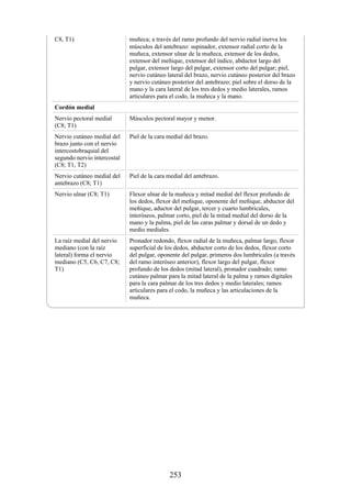C8, T1) muñeca; a través del ramo profundo del nervio radial inerva los
músculos del antebrazo: supinador, extensor radial corto de la
muñeca, extensor ulnar de la muñeca, extensor de los dedos,
extensor del meñique, extensor del índice, abductor largo del
pulgar, extensor largo del pulgar, extensor corto del pulgar; piel,
nervio cutáneo lateral del brazo, nervio cutáneo posterior del brazo
y nervio cutáneo posterior del antebrazo; piel sobre el dorso de la
mano y la cara lateral de los tres dedos y medio laterales, ramos
articulares para el codo, la muñeca y la mano.
Cordón medial
Nervio pectoral medial
(C8; T1)
Músculos pectoral mayor y menor.
Nervio cutáneo medial del
brazo junto con el nervio
intercostobraquial del
segundo nervio intercostal
(C8; T1, T2)
Piel de la cara medial del brazo.
Nervio cutáneo medial del
antebrazo (C8; T1)
Piel de la cara medial del antebrazo.
Nervio ulnar (C8; T1) Flexor ulnar de la muñeca y mitad medial del flexor profundo de
los dedos, flexor del meñique, oponente del meñique, abductor del
meñique, aductor del pulgar, tercer y cuarto lumbricales,
interóseos, palmar corto, piel de la mitad medial del dorso de la
mano y la palma, piel de las caras palmar y dorsal de un dedo y
medio mediales.
La raíz medial del nervio
mediano (con la raíz
lateral) forma el nervio
mediano (C5, C6, C7, C8;
T1)
Pronador redondo, flexor radial de la muñeca, palmar largo, flexor
superficial de los dedos, abductor corto de los dedos, flexor corto
del pulgar, oponente del pulgar, primeros dos lumbricales (a través
del ramo interóseo anterior), flexor largo del pulgar, flexor
profundo de los dedos (mitad lateral), pronador cuadrado; ramo
cutáneo palmar para la mitad lateral de la palma y ramos digitales
para la cara palmar de los tres dedos y medio laterales; ramos
articulares para el codo, la muñeca y las articulaciones de la
muñeca.
253
 