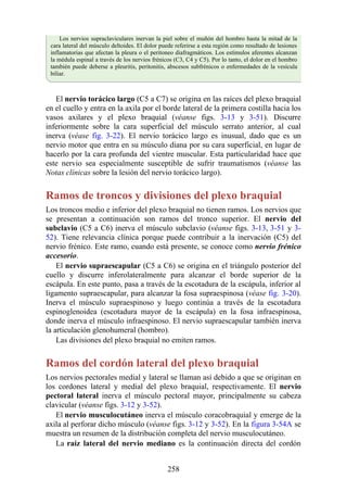 Los nervios supraclaviculares inervan la piel sobre el muñón del hombro hasta la mitad de la
cara lateral del músculo deltoides. El dolor puede referirse a esta región como resultado de lesiones
inflamatorias que afectan la pleura o el peritoneo diafragmáticos. Los estímulos aferentes alcanzan
la médula espinal a través de los nervios frénicos (C3, C4 y C5). Por lo tanto, el dolor en el hombro
también puede deberse a pleuritis, peritonitis, abscesos subfrénicos o enfermedades de la vesícula
biliar.
El nervio torácico largo (C5 a C7) se origina en las raíces del plexo braquial
en el cuello y entra en la axila por el borde lateral de la primera costilla hacia los
vasos axilares y el plexo braquial (véanse figs. 3-13 y 3-51). Discurre
inferiormente sobre la cara superficial del músculo serrato anterior, al cual
inerva (véase fig. 3-22). El nervio torácico largo es inusual, dado que es un
nervio motor que entra en su músculo diana por su cara superficial, en lugar de
hacerlo por la cara profunda del vientre muscular. Esta particularidad hace que
este nervio sea especialmente susceptible de sufrir traumatismos (véanse las
Notas clínicas sobre la lesión del nervio torácico largo).
Ramos de troncos y divisiones del plexo braquial
Los troncos medio e inferior del plexo braquial no tienen ramos. Los nervios que
se presentan a continuación son ramos del tronco superior. El nervio del
subclavio (C5 a C6) inerva el músculo subclavio (véanse figs. 3-13, 3-51 y 3-
52). Tiene relevancia clínica porque puede contribuir a la inervación (C5) del
nervio frénico. Este ramo, cuando está presente, se conoce como nervio frénico
accesorio.
El nervio supraescapular (C5 a C6) se origina en el triángulo posterior del
cuello y discurre inferolateralmente para alcanzar el borde superior de la
escápula. En este punto, pasa a través de la escotadura de la escápula, inferior al
ligamento supraescapular, para alcanzar la fosa supraespinosa (véase fig. 3-20).
Inerva el músculo supraespinoso y luego continúa a través de la escotadura
espinoglenoidea (escotadura mayor de la escápula) en la fosa infraespinosa,
donde inerva el músculo infraespinoso. El nervio supraescapular también inerva
la articulación glenohumeral (hombro).
Las divisiones del plexo braquial no emiten ramos.
Ramos del cordón lateral del plexo braquial
Los nervios pectorales medial y lateral se llaman así debido a que se originan en
los cordones lateral y medial del plexo braquial, respectivamente. El nervio
pectoral lateral inerva el músculo pectoral mayor, principalmente su cabeza
clavicular (véanse figs. 3-12 y 3-52).
El nervio musculocutáneo inerva el músculo coracobraquial y emerge de la
axila al perforar dicho músculo (véanse figs. 3-12 y 3-52). En la figura 3-54A se
muestra un resumen de la distribución completa del nervio musculocutáneo.
La raíz lateral del nervio mediano es la continuación directa del cordón
258
 