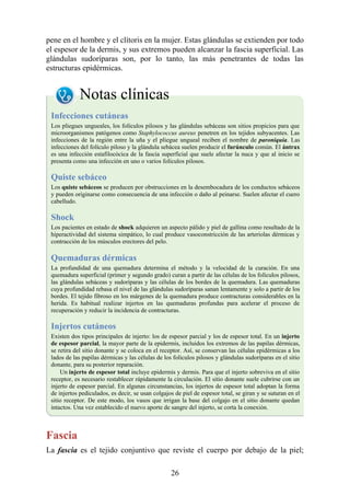 pene en el hombre y el clítoris en la mujer. Estas glándulas se extienden por todo
el espesor de la dermis, y sus extremos pueden alcanzar la fascia superficial. Las
glándulas sudoríparas son, por lo tanto, las más penetrantes de todas las
estructuras epidérmicas.
Notas clínicas
Infecciones cutáneas
Los pliegues ungueales, los folículos pilosos y las glándulas sebáceas son sitios propicios para que
microorganismos patógenos como Staphylococcus aureus penetren en los tejidos subyacentes. Las
infecciones de la región entre la uña y el pliegue ungueal reciben el nombre de paroniquia. Las
infecciones del folículo piloso y la glándula sebácea suelen producir el furúnculo común. El ántrax
es una infección estafilocócica de la fascia superficial que suele afectar la nuca y que al inicio se
presenta como una infección en uno o varios folículos pilosos.
Quiste sebáceo
Los quiste sebáceos se producen por obstrucciones en la desembocadura de los conductos sebáceos
y pueden originarse como consecuencia de una infección o daño al peinarse. Suelen afectar el cuero
cabelludo.
Shock
Los pacientes en estado de shock adquieren un aspecto pálido y piel de gallina como resultado de la
hiperactividad del sistema simpático, lo cual produce vasoconstricción de las arteriolas dérmicas y
contracción de los músculos erectores del pelo.
Quemaduras dérmicas
La profundidad de una quemadura determina el método y la velocidad de la curación. En una
quemadura superficial (primer y segundo grado) curan a partir de las células de los folículos pilosos,
las glándulas sebáceas y sudoríparas y las células de los bordes de la quemadura. Las quemaduras
cuya profundidad rebasa el nivel de las glándulas sudoríparas sanan lentamente y solo a partir de los
bordes. El tejido fibroso en los márgenes de la quemadura produce contracturas considerables en la
herida. Es habitual realizar injertos en las quemaduras profundas para acelerar el proceso de
recuperación y reducir la incidencia de contracturas.
Injertos cutáneos
Existen dos tipos principales de injerto: los de espesor parcial y los de espesor total. En un injerto
de espesor parcial, la mayor parte de la epidermis, incluidos los extremos de las papilas dérmicas,
se retira del sitio donante y se coloca en el receptor. Así, se conservan las células epidérmicas a los
lados de las papilas dérmicas y las células de los folículos pilosos y glándulas sudoríparas en el sitio
donante, para su posterior reparación.
Un injerto de espesor total incluye epidermis y dermis. Para que el injerto sobreviva en el sitio
receptor, es necesario restablecer rápidamente la circulación. El sitio donante suele cubrirse con un
injerto de espesor parcial. En algunas circunstancias, los injertos de espesor total adoptan la forma
de injertos pediculados, es decir, se usan colgajos de piel de espesor total, se giran y se suturan en el
sitio receptor. De este modo, los vasos que irrigan la base del colgajo en el sitio donante quedan
intactos. Una vez establecido el nuevo aporte de sangre del injerto, se corta la conexión.
Fascia
La fascia es el tejido conjuntivo que reviste el cuerpo por debajo de la piel;
26
 