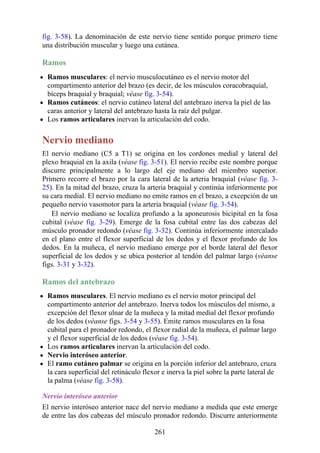 fig. 3-58). La denominación de este nervio tiene sentido porque primero tiene
una distribución muscular y luego una cutánea.
Ramos
Ramos musculares: el nervio musculocutáneo es el nervio motor del
compartimento anterior del brazo (es decir, de los músculos coracobraquial,
bíceps braquial y braquial; véase fig. 3-54).
Ramos cutáneos: el nervio cutáneo lateral del antebrazo inerva la piel de las
caras anterior y lateral del antebrazo hasta la raíz del pulgar.
Los ramos articulares inervan la articulación del codo.
Nervio mediano
El nervio mediano (C5 a T1) se origina en los cordones medial y lateral del
plexo braquial en la axila (véase fig. 3-51). El nervio recibe este nombre porque
discurre principalmente a lo largo del eje mediano del miembro superior.
Primero recorre el brazo por la cara lateral de la arteria braquial (véase fig. 3-
25). En la mitad del brazo, cruza la arteria braquial y continúa inferiormente por
su cara medial. El nervio mediano no emite ramos en el brazo, a excepción de un
pequeño nervio vasomotor para la arteria braquial (véase fig. 3-54).
El nervio mediano se localiza profundo a la aponeurosis bicipital en la fosa
cubital (véase fig. 3-29). Emerge de la fosa cubital entre las dos cabezas del
músculo pronador redondo (véase fig. 3-32). Continúa inferiormente intercalado
en el plano entre el flexor superficial de los dedos y el flexor profundo de los
dedos. En la muñeca, el nervio mediano emerge por el borde lateral del flexor
superficial de los dedos y se ubica posterior al tendón del palmar largo (véanse
figs. 3-31 y 3-32).
Ramos del antebrazo
Ramos musculares. El nervio mediano es el nervio motor principal del
compartimento anterior del antebrazo. Inerva todos los músculos del mismo, a
excepción del flexor ulnar de la muñeca y la mitad medial del flexor profundo
de los dedos (véanse figs. 3-54 y 3-55). Emite ramos musculares en la fosa
cubital para el pronador redondo, el flexor radial de la muñeca, el palmar largo
y el flexor superficial de los dedos (véase fig. 3-54).
Los ramos articulares inervan la articulación del codo.
Nervio interóseo anterior.
El ramo cutáneo palmar se origina en la porción inferior del antebrazo, cruza
la cara superficial del retináculo flexor e inerva la piel sobre la parte lateral de
la palma (véase fig. 3-58).
Nervio interóseo anterior
El nervio interóseo anterior nace del nervio mediano a medida que este emerge
de entre las dos cabezas del músculo pronador redondo. Discurre anteriormente
261
 