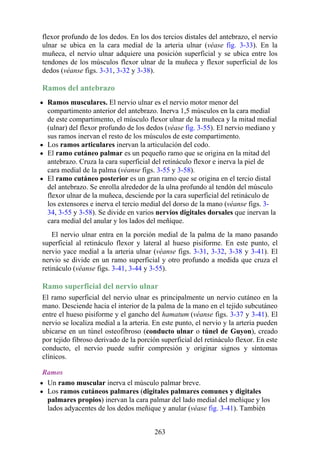 flexor profundo de los dedos. En los dos tercios distales del antebrazo, el nervio
ulnar se ubica en la cara medial de la arteria ulnar (véase fig. 3-33). En la
muñeca, el nervio ulnar adquiere una posición superficial y se ubica entre los
tendones de los músculos flexor ulnar de la muñeca y flexor superficial de los
dedos (véanse figs. 3-31, 3-32 y 3-38).
Ramos del antebrazo
Ramos musculares. El nervio ulnar es el nervio motor menor del
compartimento anterior del antebrazo. Inerva 1,5 músculos en la cara medial
de este compartimento, el músculo flexor ulnar de la muñeca y la mitad medial
(ulnar) del flexor profundo de los dedos (véase fig. 3-55). El nervio mediano y
sus ramos inervan el resto de los músculos de este compartimento.
Los ramos articulares inervan la articulación del codo.
El ramo cutáneo palmar es un pequeño ramo que se origina en la mitad del
antebrazo. Cruza la cara superficial del retináculo flexor e inerva la piel de
cara medial de la palma (véanse figs. 3-55 y 3-58).
El ramo cutáneo posterior es un gran ramo que se origina en el tercio distal
del antebrazo. Se enrolla alrededor de la ulna profundo al tendón del músculo
flexor ulnar de la muñeca, desciende por la cara superficial del retináculo de
los extensores e inerva el tercio medial del dorso de la mano (véanse figs. 3-
34, 3-55 y 3-58). Se divide en varios nervios digitales dorsales que inervan la
cara medial del anular y los lados del meñique.
El nervio ulnar entra en la porción medial de la palma de la mano pasando
superficial al retináculo flexor y lateral al hueso pisiforme. En este punto, el
nervio yace medial a la arteria ulnar (véanse figs. 3-31, 3-32, 3-38 y 3-41). El
nervio se divide en un ramo superficial y otro profundo a medida que cruza el
retináculo (véanse figs. 3-41, 3-44 y 3-55).
Ramo superficial del nervio ulnar
El ramo superficial del nervio ulnar es principalmente un nervio cutáneo en la
mano. Desciende hacia el interior de la palma de la mano en el tejido subcutáneo
entre el hueso pisiforme y el gancho del hamatum (véanse figs. 3-37 y 3-41). El
nervio se localiza medial a la arteria. En este punto, el nervio y la arteria pueden
ubicarse en un túnel osteofibroso (conducto ulnar o túnel de Guyon), creado
por tejido fibroso derivado de la porción superficial del retináculo flexor. En este
conducto, el nervio puede sufrir compresión y originar signos y síntomas
clínicos.
Ramos
Un ramo muscular inerva el músculo palmar breve.
Los ramos cutáneos palmares (digitales palmares comunes y digitales
palmares propios) inervan la cara palmar del lado medial del meñique y los
lados adyacentes de los dedos meñique y anular (véase fig. 3-41). También
263
 