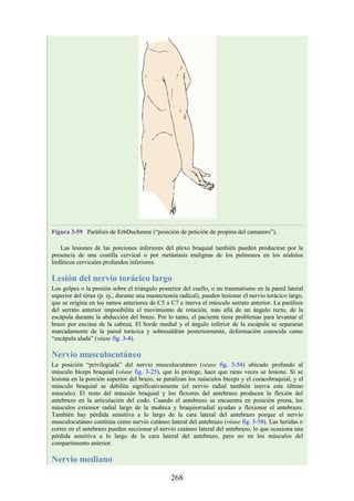 Figura 3-59 Parálisis de ErbDuchenne (“posición de petición de propina del camarero”).
Las lesiones de las porciones inferiores del plexo braquial también pueden producirse por la
presencia de una costilla cervical o por metástasis malignas de los pulmones en los nódulos
linfáticos cervicales profundos inferiores.
Lesión del nervio torácico largo
Los golpes o la presión sobre el triángulo posterior del cuello, o un traumatismo en la pared lateral
superior del tórax (p. ej., durante una mastectomía radical), pueden lesionar el nervio torácico largo,
que se origina en los ramos anteriores de C5 a C7 e inerva el músculo serrato anterior. La parálisis
del serrato anterior imposibilita el movimiento de rotación, más allá de un ángulo recto, de la
escápula durante la abducción del brazo. Por lo tanto, el paciente tiene problemas para levantar el
brazo por encima de la cabeza. El borde medial y el ángulo inferior de la escápula se separaran
marcadamente de la pared torácica y sobresaldrán posteriormente, deformación conocida como
“escápula alada” (véase fig. 3-4).
Nervio musculocutáneo
La posición “privilegiada” del nervio musculocutáneo (véase fig. 3-54) ubicado profundo al
músculo bíceps braquial (véase fig. 3-25), que lo protege, hace que raras veces se lesione. Si se
lesiona en la porción superior del brazo, se paralizan los músculos bíceps y el coracobraquial, y el
músculo braquial se debilita significativamente (el nervio radial también inerva este último
músculo). El resto del músculo braquial y los flexores del antebrazo producen la flexión del
antebrazo en la articulación del codo. Cuando el antebrazo se encuentra en posición prona, los
músculos extensor radial largo de la muñeca y braquiorradial ayudan a flexionar el antebrazo.
También hay pérdida sensitiva a lo largo de la cara lateral del antebrazo porque el nervio
musculocutáneo continúa como nervio cutáneo lateral del antebrazo (véase fig. 3-58). Las heridas o
cortes en el antebrazo pueden seccionar el nervio cutáneo lateral del antebrazo, lo que ocasiona una
pérdida sensitiva a lo largo de la cara lateral del antebrazo, pero no en los músculos del
compartimento anterior.
Nervio mediano
268
 
