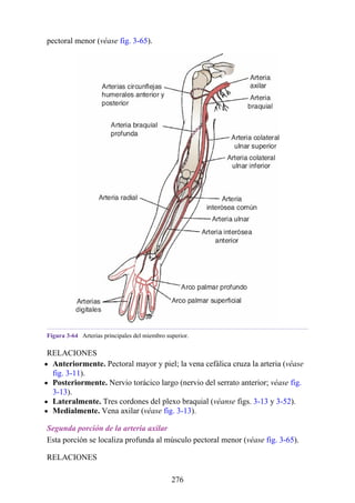 pectoral menor (véase fig. 3-65).
Figura 3-64 Arterias principales del miembro superior.
RELACIONES
Anteriormente. Pectoral mayor y piel; la vena cefálica cruza la arteria (véase
fig. 3-11).
Posteriormente. Nervio torácico largo (nervio del serrato anterior; véase fig.
3-13).
Lateralmente. Tres cordones del plexo braquial (véanse figs. 3-13 y 3-52).
Medialmente. Vena axilar (véase fig. 3-13).
Segunda porción de la arteria axilar
Esta porción se localiza profunda al músculo pectoral menor (véase fig. 3-65).
RELACIONES
276
 
