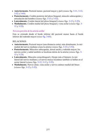 Anteriormente. Pectoral menor, pectoral mayor y piel (véanse fig. 3-11, 3-12,
3-52 y 3-65).
Posteriormente. Cordón posterior del plexo braquial, músculo subescapular y
articulación del hombro (véanse figs. 3-13 y 3-52).
Lateralmente. Cordón lateral del plexo braquial (véanse figs. 3-13 y 3-52).
Medialmente. Cordón medial del plexo braquial y vena axilar (véanse figs. 3-
13 y 3-52).
Tercera porción de la arteria axilar
Esta se extiende desde el borde inferior del pectoral menor hasta el borde
inferior del redondo mayor (véase fig. 3-65).
RELACIONES
Anteriormente. Pectoral mayor (una distancia corta); más distalmente, la raíz
medial del nervio mediano cruza la arteria (véanse figs. 3-12 y 3-52).
Posteriormente. Músculos subscapular, dorsal ancho y redondo mayor; los
nervios axilar y radial también se localizan detrás de la arteria (véanse figs. 3-
13 y 3-23).
Lateralmente. Músculos coracobraquial y bíceps más el húmero; la raíz
lateral del nervio mediano y el nervio muscu locutáneo también se hallan en el
sector lateral (véanse figs. 3-12, 3-13 y 3-52).
Medialmente. Nervio ulnar, vena axilar y nervio cutáneo medial del brazo
(véanse figs. 3-12 y 3-52).
277
 