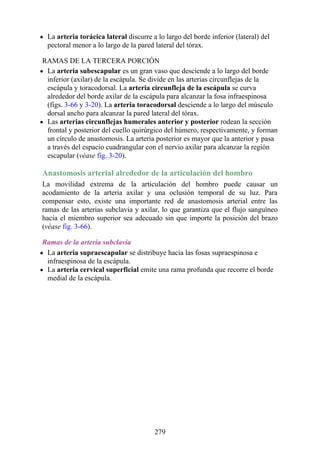 La arteria torácica lateral discurre a lo largo del borde inferior (lateral) del
pectoral menor a lo largo de la pared lateral del tórax.
RAMAS DE LA TERCERA PORCIÓN
La arteria subescapular es un gran vaso que desciende a lo largo del borde
inferior (axilar) de la escápula. Se divide en las arterias circunflejas de la
escápula y toracodorsal. La arteria circunfleja de la escápula se curva
alrededor del borde axilar de la escápula para alcanzar la fosa infraespinosa
(figs. 3-66 y 3-20). La arteria toracodorsal desciende a lo largo del músculo
dorsal ancho para alcanzar la pared lateral del tórax.
Las arterias circunflejas humerales anterior y posterior rodean la sección
frontal y posterior del cuello quirúrgico del húmero, respectivamente, y forman
un círculo de anastomosis. La arteria posterior es mayor que la anterior y pasa
a través del espacio cuadrangular con el nervio axilar para alcanzar la región
escapular (véase fig. 3-20).
Anastomosis arterial alrededor de la articulación del hombro
La movilidad extrema de la articulación del hombro puede causar un
acodamiento de la arteria axilar y una oclusión temporal de su luz. Para
compensar esto, existe una importante red de anastomosis arterial entre las
ramas de las arterias subclavia y axilar, lo que garantiza que el flujo sanguíneo
hacia el miembro superior sea adecuado sin que importe la posición del brazo
(véase fig. 3-66).
Ramas de la arteria subclavia
La arteria supraescapular se distribuye hacia las fosas supraespinosa e
infraespinosa de la escápula.
La arteria cervical superficial emite una rama profunda que recorre el borde
medial de la escápula.
279
 