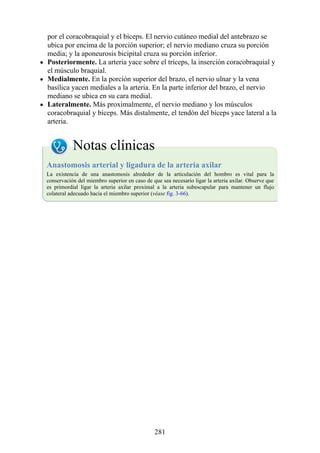 por el coracobraquial y el bíceps. El nervio cutáneo medial del antebrazo se
ubica por encima de la porción superior; el nervio mediano cruza su porción
media; y la aponeurosis bicipital cruza su porción inferior.
Posteriormente. La arteria yace sobre el tríceps, la inserción coracobraquial y
el músculo braquial.
Medialmente. En la porción superior del brazo, el nervio ulnar y la vena
basílica yacen mediales a la arteria. En la parte inferior del brazo, el nervio
mediano se ubica en su cara medial.
Lateralmente. Más proximalmente, el nervio mediano y los músculos
coracobraquial y bíceps. Más distalmente, el tendón del bíceps yace lateral a la
arteria.
Notas clínicas
Anastomosis arterial y ligadura de la arteria axilar
La existencia de una anastomosis alrededor de la articulación del hombro es vital para la
conservación del miembro superior en caso de que sea necesario ligar la arteria axilar. Observe que
es primordial ligar la arteria axilar proximal a la arteria subescapular para mantener un flujo
colateral adecuado hacia el miembro superior (véase fig. 3-66).
281
 