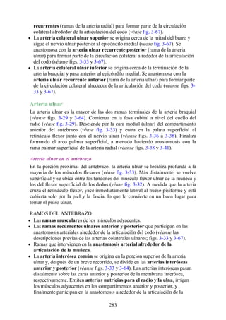 recurrentes (ramas de la arteria radial) para formar parte de la circulación
colateral alrededor de la articulación del codo (véase fig. 3-67).
La arteria colateral ulnar superior se origina cerca de la mitad del brazo y
sigue el nervio ulnar posterior al epicóndilo medial (véase fig. 3-67). Se
anastomosa con la arteria ulnar recurrente posterior (rama de la arteria
ulnar) para formar parte de la circulación colateral alrededor de la articulación
del codo (véanse figs. 3-33 y 3-67).
La arteria colateral ulnar inferior se origina cerca de la terminación de la
arteria braquial y pasa anterior al epicóndilo medial. Se anastomosa con la
arteria ulnar recurrente anterior (rama de la arteria ulnar) para formar parte
de la circulación colateral alrededor de la articulación del codo (véanse figs. 3-
33 y 3-67).
Arteria ulnar
La arteria ulnar es la mayor de las dos ramas terminales de la arteria braquial
(véanse figs. 3-29 y 3-64). Comienza en la fosa cubital a nivel del cuello del
radio (véase fig. 3-29). Desciende por la cara medial (ulnar) del compartimento
anterior del antebrazo (véase fig. 3-33) y entra en la palma superficial al
retináculo flexor junto con el nervio ulnar (véanse figs. 3-36 a 3-38). Finaliza
formando el arco palmar superficial, a menudo haciendo anastomosis con la
rama palmar superficial de la arteria radial (véanse figs. 3-38 y 3-41).
Arteria ulnar en el antebrazo
En la porción proximal del antebrazo, la arteria ulnar se localiza profunda a la
mayoría de los músculos flexores (véase fig. 3-33). Más distalmente, se vuelve
superficial y se ubica entre los tendones del músculo flexor ulnar de la muñeca y
los del flexor superficial de los dedos (véase fig. 3-32). A medida que la arteria
cruza el retináculo flexor, yace inmediatamente lateral al hueso pisiforme y está
cubierta solo por la piel y la fascia, lo que lo convierte en un buen lugar para
tomar el pulso ulnar.
RAMOS DEL ANTEBRAZO
Las ramas musculares de los músculos adyacentes.
Las ramas recurrentes ulnares anterior y posterior que participan en las
anastomosis arteriales alrededor de la articulación del codo (véanse las
descripciones previas de las arterias colaterales ulnares; figs. 3-33 y 3-67).
Ramas que intervienen en la anastomosis arterial alrededor de la
articulación de la muñeca.
La arteria interósea común se origina en la porción superior de la arteria
ulnar y, después de un breve recorrido, se divide en las arterias interóseas
anterior y posterior (véanse figs. 3-33 y 3-64). Las arterias interóseas pasan
distalmente sobre las caras anterior y posterior de la membrana interósea,
respectivamente. Emiten arterias nutricias para el radio y la ulna, irrigan
los músculos adyacentes en los compartimentos anterior y posterior, y
finalmente participan en la anastomosis alrededor de la articulación de la
283
 