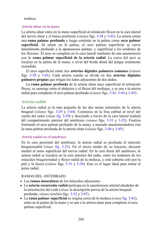 muñeca.
Arteria ulnar en la mano
La arteria ulnar entra en la mano superficial al retináculo flexor en la cara lateral
del nervio ulnar y el hueso pisiforme (véanse figs. 3-38 y 3-41). La arteria emite
una rama palmar profunda y luego continúa en la palma como arco palmar
superficial. Al entrar en la palma, el arco palmar superficial se curva
lateralmente profundo a la aponeurosis palmar, y superficial a los tendones de
los flexores. El arco se completa en la cara lateral mediante de una anastomosis
con la rama palmar superficial de la arteria radial. La curva del arco se
localiza en la palma de la mano, a nivel del borde distal del pulgar totalmente
extendido.
El arco superficial emite tres arterias digitales palmares comunes (véanse
figs. 3-38 y 3-41). Cada arteria común se divide en dos arterias digitales
palmares propias que irrigan los lados adyacentes de dos dedos.
La rama palmar profunda de la arteria ulnar nace superficial al retináculo
flexor, se sumerge entre el abductor y el flexor del meñique, y se une a la arteria
radial para completar el arco palmar profundo (véanse figs. 3-41, 3-44 y 3-45).
Arteria radial
La arteria radial es la más pequeña de las dos ramas terminales de la arteria
braquial (véanse figs. 3-29 y 3-64). Comienza en la fosa cubital al nivel del
cuello del radio (véase fig. 3-29) y desciende a través de la cara lateral (radial)
del compartimento anterior del antebrazo (véanse figs. 3-31 y 3-32). Finaliza
formando el arco palmar profundo de la mano, a menudo anastomosándose con
la rama palmar profunda de la arteria ulnar (véanse figs. 3-44 y 3-45).
Arteria radial en el antebrazo
En la cara proximal del antebrazo, la arteria radial es profunda al músculo
braquiorradial (véase fig. 3-31). En el tercio medio de su trayecto, discurre
medial al ramo superficial del nervio radial. En la cara distal del antebrazo, la
arteria radial se localiza en la cara anterior del radio, entre los tendones de los
músculos braquiorradial y flexor radial de la muñeca, y está cubierta solo por la
piel y la fascia (véanse figs. 3-31 y 3-38). Este es el lugar ideal para tomar el
pulso radial.
RAMAS DEL ANTEBRAZO
Las ramas musculares de los músculos adyacentes.
La arteria recurrente radial participa en la anastomosis arterial alrededor de
la articulación del codo (véase la descripción previa de la arteria braquial
profunda; véanse también figs. 3-32 y 3-67).
La rama palmar superficial se origina cerca de la muñeca (véase fig. 3-41),
entra en la palma de la mano y se une a la arteria ulnar para completar el arco
palmar superficial.
284
 