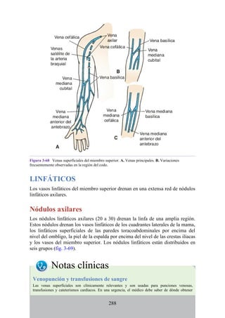 Figura 3-68 Venas superficiales del miembro superior. A. Venas principales. B. Variaciones
frecuentemente observadas en la región del codo.
LINFÁTICOS
Los vasos linfáticos del miembro superior drenan en una extensa red de nódulos
linfáticos axilares.
Nódulos axilares
Los nódulos linfáticos axilares (20 a 30) drenan la linfa de una amplia región.
Estos nódulos drenan los vasos linfáticos de los cuadrantes laterales de la mama,
los linfáticos superficiales de las paredes toracoabdominales por encima del
nivel del ombligo, la piel de la espalda por encima del nivel de las crestas ilíacas
y los vasos del miembro superior. Los nódulos linfáticos están distribuidos en
seis grupos (fig. 3-69).
Notas clínicas
Venopunción y transfusiones de sangre
Las venas superficiales son clínicamente relevantes y son usadas para punciones venosas,
transfusiones y cateterismos cardíacos. En una urgencia, el médico debe saber de dónde obtener
288
 
