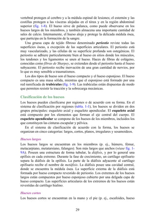 vertebral protegen al cerebro y a la médula espinal de lesiones; el esternón y las
costillas protegen a las vísceras alojadas en el tórax y en la región abdominal
superior (fig. 1-8). El hueso sirve de palanca, como puede observarse en los
huesos largos de los miembros, y también almacena una importante cantidad de
sales de calcio. Internamente, el hueso aloja y protege la delicada médula ósea,
que participa en la formación de la sangre.
Una gruesa capa de tejido fibroso denominado periostio reviste todas las
superficies óseas, a excepción de las superficies articulares. El periostio está
muy vascularizado, y las células de su superficie profunda son ostegénicas. El
periostio se adhiere particularmente bien al hueso en sitios donde los músculos,
los tendones y los ligamentos se unen al hueso. Haces de fibras de colágeno,
conocidas como fibras de Sharpey, se extienden desde el periostio hasta el hueso
subyacente. El periostio recibe inervación de una gran cantidad de nervios, por
lo que es muy sensible a traumatismos.
Los dos tipos de hueso son el hueso compacto y el hueso esponjoso. El hueso
compacto es una masa sólida, mientras que el esponjoso está formado por una
red ramificada de trabéculas (fig. 1-9). Las trabéculas están dispuestas de modo
que permiten resistir la tracción y la sobrecarga mecánicas.
Clasificación de los huesos
Los huesos pueden clasificarse por regiones o de acuerdo con su forma. En el
sistema de clasificación por regiones (tabla. 1-1), los huesos se dividen en dos
grupos principales: esqueleto axial y esqueleto apendicular. El esqueleto axial
está compuesto por los elementos que forman el eje central del cuerpo. El
esqueleto apendicular se compone de los huesos de los miembros, incluidos los
que constituyen las cinturas escapular y pélvica.
En el sistema de clasificación de acuerdo con la forma, los huesos se
organizan en cinco categorías: largos, cortos, planos, irregulares y sesamoideos.
Huesos largos
Los huesos largos se encuentran en los miembros (p. ej., húmero, fémur,
metacarpiano, metatarsiano, falanges). Son más largos que anchos (véase fig. 1-
9A). Poseen una estructura de forma tubular, la diáfisis, y por lo general una
epífisis en cada extremo. Durante la fase de crecimiento, un cartílago epifisario
separa la diáfisis de la epífisis. La parte de la diáfisis adyacente al cartílago
epifisario recibe el nombre de metáfisis. La diáfisis posee una cavidad central,
donde se encuentra la médula ósea. La superficie externa de la diáfisis está
formada por hueso compacto revestido de periostio. Los extremos de los huesos
largos están compuestos por hueso esponjoso cubierto por una delgada capa de
hueso compacto. Las superficies articulares de los extremos de los huesos están
revestidas de cartílago hialino.
Huesos cortos
Los huesos cortos se encuentran en la mano y el pie (p. ej., escafoides, hueso
29
 