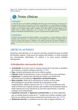 Figura 3-70 Nódulos linfáticos superficiales del miembro superior. Obsérvense las posiciones de los
nódulos linfáticos.
Notas clínicas
Linfangitis
La infección de los vasos linfáticos (linfangitis) del brazo ocurre con frecuencia. Se caracteriza por
una serie de líneas rojas a lo largo del curso de los vasos linfáticos. Los vasos linfáticos del pulgar y
el índice y la cara lateral de la mano siguen la vena cefálica hasta el grupo infraclavicular de nódulos
axilares; los de los dedos medio, anular y meñique y de la parte medial de la mano siguen la vena
basílica hasta el nódulo supratroclear, que se localiza en la fascia superficial inmediatamente
superior al epicóndilo medial del húmero y, de allí, al grupo lateral de nódulos axilares.
Linfadenitis
Cuando la infección alcanza los nódulos linfáticos, estos se dilatan y se vuelven dolorosos, trastorno
conocido como linfadenitis. La mayoría de los vasos linfáticos de los dedos y la palma pasan al
dorso de la mano antes de pasar al antebrazo. Esto explica la frecuencia de edema inflamatorio, o
incluso de formación de abscesos, en el dorso de la mano después de una infección en los dedos o la
palma.
ARTICULACIONES
Numerosas articulaciones, en su mayoría sinoviales, permiten la gran movilidad
del miembro superior. Cada una de las regiones del hombro y el codo contienen
tres articulaciones individuales. La muñeca y la mano poseen múltiples
articulaciones.
Articulación esternoclavicular
Articulación. Se localiza entre el extremo esternal de la clavícula, el manubrio
del esternón y el primer cartílago costal (fig. 3-71A).
Tipo. Artrodia (articulación sinovial en silla de montar).
Cápsula. Rodea la articulación y se une a los bordes de las caras articulares.
Ligamentos. La cápsula está reforzada por delante y por detrás de la
articulación por los poderosos ligamentos esternoclaviculares.
Disco articular. Dentro de la articulación se localiza un disco plano
fibrocartilaginoso que divide el interior de la articulación en dos
compartimentos: medial y lateral (véase fig. 3-71A). Su circunferencia está
unida al interior de la cápsula articular, pero también está fuertemente fijada al
borde superior de la cara articular de la clavícula superiormente y al primer
cartílago costal inferiormente.
Ligamento accesorio. El ligamento costoclavicular es un fuerte ligamento
que se extiende desde la unión de la 1.a costilla con el primer cartílago costal
hasta la cara inferior del extremo esternal de la clavícula (véase fig. 3-71A).
Membrana sinovial. La membrana sinovial cubre la cápsula articular y se
293
 
