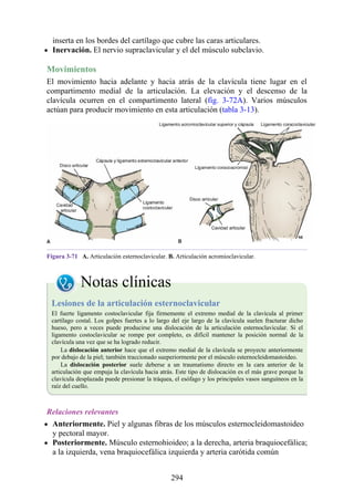inserta en los bordes del cartílago que cubre las caras articulares.
Inervación. El nervio supraclavicular y el del músculo subclavio.
Movimientos
El movimiento hacia adelante y hacia atrás de la clavícula tiene lugar en el
compartimento medial de la articulación. La elevación y el descenso de la
clavícula ocurren en el compartimento lateral (fig. 3-72A). Varios músculos
actúan para producir movimiento en esta articulación (tabla 3-13).
Figura 3-71 A. Articulación esternoclavicular. B. Articulación acromioclavicular.
Notas clínicas
Lesiones de la articulación esternoclavicular
El fuerte ligamento costoclavicular fija firmemente el extremo medial de la clavícula al primer
cartílago costal. Los golpes fuertes a lo largo del eje largo de la clavícula suelen fracturar dicho
hueso, pero a veces puede producirse una dislocación de la articulación esternoclavicular. Si el
ligamento costoclavicular se rompe por completo, es difícil mantener la posición normal de la
clavícula una vez que se ha logrado reducir.
La dislocación anterior hace que el extremo medial de la clavícula se proyecte anteriormente
por debajo de la piel; también traccionado sueperiormente por el músculo esternocleidomastoideo.
La dislocación posterior suele deberse a un traumatismo directo en la cara anterior de la
articulación que empuja la clavícula hacia atrás. Este tipo de dislocación es el más grave porque la
clavícula desplazada puede presionar la tráquea, el esófago y los principales vasos sanguíneos en la
raíz del cuello.
Relaciones relevantes
Anteriormente. Piel y algunas fibras de los músculos esternocleidomastoideo
y pectoral mayor.
Posteriormente. Músculo esternohioideo; a la derecha, arteria braquiocefálica;
a la izquierda, vena braquiocefálica izquierda y arteria carótida común
294
 