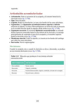 izquierda.
Articulación acromioclavicular
Articulación. Entre el acromion de la escápula y el extremo lateral de la
clavícula (véase fig. 3-71B).
Tipo. Sinovial plana.
Cápsula. Rodea la articulación y se une a los bordes de las caras articulares.
Ligamentos. Los ligamentos acromioclaviculares superior e inferior
refuerzan la cápsula. Un disco fibrocartilaginoso en forma de cuña se proyecta
en la cavidad articular desde la cápsula, desde arriba (véase fig. 3-71B).
Ligamento accesorio. El resistente ligamento coracoclavicular se extiende
desde el proceso coracoides hasta la cara inferior de la clavícula y se encarga
principalmente de suspender el peso de la escápula y el miembro superior
desde la clavícula (véase fig. 3-71B).
Membrana sinovial. Cubre la cápsula y se inserta en los bordes del cartílago
que cubre las caras articulares.
Inervación. Nervio suprascapular.
Movimientos
Cuando la escápula rota o cuando la clavícula se eleva o desciende, se produce
un movimiento deslizante (véase fig. 3-72B).
Tabla 3-13 Músculos que producen el movimiento articular
esternoclavicular
MOVIMIENTO MÚSCULOS
Hacia adelante Serrato anterior
Hacia atrás Trapecio, romboides
Elevación Esternocleidomastoideo, trapecio, romboides, elevador de la escápula
Descenso Pectoral menor, subclavio
295
 