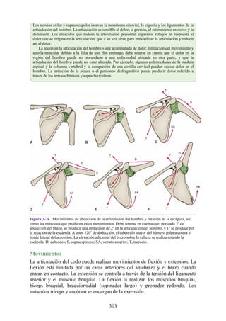 Los nervios axilar y supraescapular inervan la membrana sinovial, la cápsula y los ligamentos de la
articulación del hombro. La articulación es sensible al dolor, la presión, el estiramiento excesivo y la
distensión. Los músculos que rodean la articulación presentan espasmos reflejos en respuesta al
dolor que se origina en la articulación, que a su vez sirve para inmovilizar la articulación y reducir
así el dolor.
La lesión en la articulación del hombro viene acompañada de dolor, limitación del movimiento y
atrofia muscular debido a la falta de uso. Sin embargo, debe tenerse en cuenta que el dolor en la
región del hombro puede ser secundario a una enfermedad ubicada en otra parte, y que la
articulación del hombro puede no estar alterada. Por ejemplo, algunas enfermedades de la médula
espinal y la columna vertebral y la compresión de una costilla cervical pueden causar dolor en el
hombro. La irritación de la pleura o el peritoneo diafragmático puede producir dolor referido a
través de los nervios frénicos y supraclaviculares.
Figura 3-76 Movimientos de abducción de la articulación del hombro y rotación de la escápula, así
como los músculos que producen estos movimientos. Debe tenerse en cuenta que, por cada 3º de
abducción del brazo, se produce una abducción de 2º en la articulación del hombro, y 1º se produce por
la rotación de la escápula. A unos 120º de abducción, el tubérculo mayor del húmero golpea contra el
borde lateral del acromion. La elevación adicional del brazo sobre la cabeza se realiza rotando la
escápula. D, deltoides; S, supraespinoso; SA, serrato anterior; T, trapecio.
Movimientos
La articulación del codo puede realizar movimientos de flexión y extensión. La
flexión está limitada por las caras anteriores del antebrazo y el brazo cuando
entran en contacto. La extensión se controla a través de la tensión del ligamento
anterior y el músculo braquial. La flexión la realizan los músculos braquial,
bíceps braquial, braquiorradial (supinador largo) y pronador redondo. Los
músculos tríceps y ancóneo se encargan de la extensión.
303
 