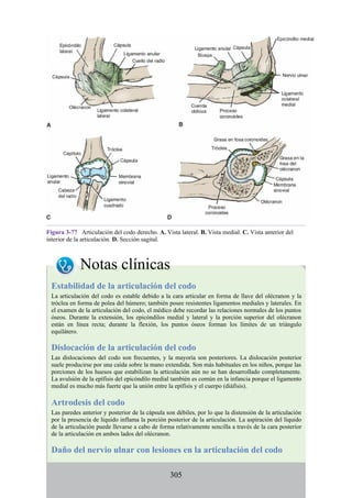 Figura 3-77 Articulación del codo derecho. A. Vista lateral. B. Vista medial. C. Vista anterior del
interior de la articulación. D. Sección sagital.
Notas clínicas
Estabilidad de la articulación del codo
La articulación del codo es estable debido a la cara articular en forma de llave del olécranon y la
tróclea en forma de polea del húmero; también posee resistentes ligamentos mediales y laterales. En
el examen de la articulación del codo, el médico debe recordar las relaciones normales de los puntos
óseos. Durante la extensión, los epicóndilos medial y lateral y la porción superior del olécranon
están en línea recta; durante la flexión, los puntos óseos forman los límites de un triángulo
equilátero.
Dislocación de la articulación del codo
Las dislocaciones del codo son frecuentes, y la mayoría son posteriores. La dislocación posterior
suele producirse por una caída sobre la mano extendida. Son más habituales en los niños, porque las
porciones de los huesos que estabilizan la articulación aún no se han desarrollado completamente.
La avulsión de la epífisis del epicóndilo medial también es común en la infancia porque el ligamento
medial es mucho más fuerte que la unión entre la epífisis y el cuerpo (diáfisis).
Artrodesis del codo
Las paredes anterior y posterior de la cápsula son débiles, por lo que la distensión de la articulación
por la presencia de líquido inflama la porción posterior de la articulación. La aspiración del líquido
de la articulación puede llevarse a cabo de forma relativamente sencilla a través de la cara posterior
de la articulación en ambos lados del olécranon.
Daño del nervio ulnar con lesiones en la articulación del codo
305
 