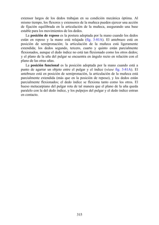 extensor largos de los dedos trabajan en su condición mecánica óptima. Al
mismo tiempo, los flexores y extensores de la muñeca pueden ejercer una acción
de fijación equilibrada en la articulación de la muñeca, asegurando una base
estable para los movimientos de los dedos.
La posición de reposo es la postura adoptada por la mano cuando los dedos
están en reposo y la mano está relajada (fig. 3-81A). El antebrazo está en
posición de semipronación; la articulación de la muñeca está ligeramente
extendida; los dedos segundo, tercero, cuarto y quinto están parcialmente
flexionados, aunque el dedo índice no está tan flexionado como los otros dedos;
y el plano de la uña del pulgar se encuentra en ángulo recto en relación con el
plano de las otras uñas.
La posición funcional es la posición adoptada por la mano cuando está a
punto de agarrar un objeto entre el pulgar y el índice (véase fig. 3-81A). El
antebrazo está en posición de semipronación, la articulación de la muñeca está
parcialmente extendida (más que en la posición de reposo), y los dedos están
parcialmente flexionados; el dedo índice se flexiona tanto como los otros. El
hueso metacarpiano del pulgar rota de tal manera que el plano de la uña queda
paralelo con la del dedo índice, y los pulpejos del pulgar y el dedo índice entran
en contacto.
315
 
