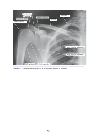 Figura 3-91 Radiografía anteroposterior de la región del hombro en el adulto.
327
 