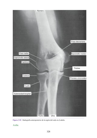 Figura 3-92 Radiografía anteroposterior de la región del codo en el adulto.
Axila
328
 