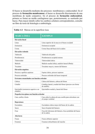 El hueso se desarrolla mediante dos procesos: membranoso y endocondral. En el
proceso de formación membranoso, el hueso se desarrolla directamente de una
membrana de tejido conjuntivo. En el proceso de formación endocondral,
primero se forma un molde cartilaginoso que, posteriormente, es sustituido por
hueso. Para mayor detalle sobre los cambios celulares correspondientes, consulte
un libro de texto de histología o embriología.
Tabla 1-2 Marcas en la superficie ósea
MARCA ÓSEA EJEMPLO
Elevación lineal
Línea Línea superior de la nuca en el hueso occipital
Eminencia Eminencia occipital
Cresta Cresta ilíaca del hueso de la cadera
Elevación redonda
Tubérculo Tubérculo del pubis
Protuberancia Protuberancia occipital externa
Tuberosidad Tuberosidad ciática
Maléolo Maléolo medial (tibia), maléolo lateral (fíbula)
Trocánter Trocánter mayor y menor del húmero
Elevación angulosa
Proceso o apófisis espinoso Espina ciática, proceso espinoso
Proceso estiloides Proceso estiloides del hueso temporal
Extremos ensanchados con función articular
Cabeza Cabeza del húmero, cabeza del fémur
Cóndilo Cóndilos lateral y medial del fémur (proceso con forma
de nudillo)
Epicóndilo (eminencia superior a un
cóndilo)
Epicóndilos medial y lateral del fémur
Pequeña área plana con función articular
Cara, carilla o fosita Cara sobre la cabeza de una costilla para articularse con
el cuerpo vertebral
Depresiones
Escotadura Escotadura ciática mayor del hueso de la cadera
Surco Surco bicipital del húmero
Fosa Fosa del olécranon del húmero, fosa acetabular del hueso
de la cadera
Aberturas
Fisura Fisura orbitaria superior
Foramen Foramen infraorbitario del maxilar
34
 