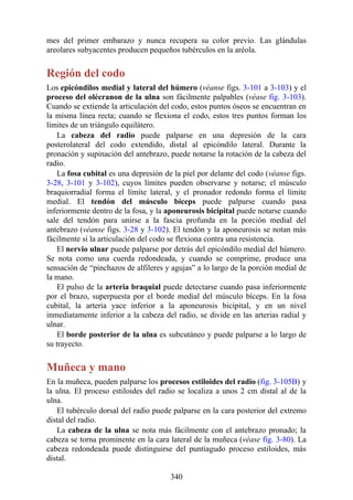 mes del primer embarazo y nunca recupera su color previo. Las glándulas
areolares subyacentes producen pequeños tubérculos en la aréola.
Región del codo
Los epicóndilos medial y lateral del húmero (véanse figs. 3-101 a 3-103) y el
proceso del olécranon de la ulna son fácilmente palpables (véase fig. 3-103).
Cuando se extiende la articulación del codo, estos puntos óseos se encuentran en
la misma línea recta; cuando se flexiona el codo, estos tres puntos forman los
límites de un triángulo equilátero.
La cabeza del radio puede palparse en una depresión de la cara
posterolateral del codo extendido, distal al epicóndilo lateral. Durante la
pronación y supinación del antebrazo, puede notarse la rotación de la cabeza del
radio.
La fosa cubital es una depresión de la piel por delante del codo (véanse figs.
3-28, 3-101 y 3-102), cuyos límites pueden observarse y notarse; el músculo
braquiorradial forma el límite lateral, y el pronador redondo forma el límite
medial. El tendón del músculo bíceps puede palparse cuando pasa
inferiormente dentro de la fosa, y la aponeurosis bicipital puede notarse cuando
sale del tendón para unirse a la fascia profunda en la porción medial del
antebrazo (véanse figs. 3-28 y 3-102). El tendón y la aponeurosis se notan más
fácilmente si la articulación del codo se flexiona contra una resistencia.
El nervio ulnar puede palparse por detrás del epicóndilo medial del húmero.
Se nota como una cuerda redondeada, y cuando se comprime, produce una
sensación de “pinchazos de alfileres y agujas” a lo largo de la porción medial de
la mano.
El pulso de la arteria braquial puede detectarse cuando pasa inferiormente
por el brazo, superpuesta por el borde medial del músculo bíceps. En la fosa
cubital, la arteria yace inferior a la aponeurosis bicipital, y en un nivel
inmediatamente inferior a la cabeza del radio, se divide en las arterias radial y
ulnar.
El borde posterior de la ulna es subcutáneo y puede palparse a lo largo de
su trayecto.
Muñeca y mano
En la muñeca, pueden palparse los procesos estiloides del radio (fig. 3-105B) y
la ulna. El proceso estiloides del radio se localiza a unos 2 cm distal al de la
ulna.
El tubérculo dorsal del radio puede palparse en la cara posterior del extremo
distal del radio.
La cabeza de la ulna se nota más fácilmente con el antebrazo pronado; la
cabeza se torna prominente en la cara lateral de la muñeca (véase fig. 3-80). La
cabeza redondeada puede distinguirse del puntiagudo proceso estiloides, más
distal.
340
 