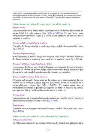 Figura 3-105 Anatomía de superficie de la región de la muñeca. A. Vista anterior que muestra
proyecciones superficiales de estructuras en la cara palmar. B. Vista lateral que muestra proyecciones
superficiales de estructuras en las caras posterior y lateral. C. Vista lateral que muestra la tabaquera
anatómica.
Estructuras relevantes de la cara anterior de la muñeca
Arteria radial
Las pulsaciones de la arteria radial se pueden notar fácilmente por delante del
tercio distal del radio (véanse figs. 3-28 y 3-105A). En este lugar, yace
inmediatamente inferior a la piel y la fascia, lateral al tendón del músculo flexor
radial de la muñeca.
Tendón del flexor radial de la muñeca
El tendón del flexor radial de la muñeca se ubica medial a la arteria radial (véase
fig. 3-105A).
Tendón del palmar largo
Si está presente, el tendón del palmar largo se ubica medial respecto al tendón
del flexor radial de la muñeca y superior al nervio mediano (véase fig. 3-105A).
Tendones del flexor superficial de los dedos
Los tendones del flexor superficial de los dedos son un grupo de cuatro tendones
mediales al tendón del palmar largo, cuyo movimiento puede observarse por
debajo de la piel cuando los dedos están flexionados y extendidos.
Tendón del flexor ulnar de la muñeca
El tendón del músculo flexor ulnar de la muñeca es el más medial de la cara
anterior de la muñeca y puede seguirse distalmente hasta su inserción en el
hueso pisiforme (véanse figs. 3-28 y 3-105A). El tendón puede hacerse
prominente solicitando al paciente que apriete el puño (el músculo se contrae
para ayudar a fijar y estabilizar la articulación de la muñeca).
Arteria ulnar
Las pulsaciones de la arteria ulnar pueden notarse en posición lateral respecto al
tendón del músculo flexor ulnar (véase fig. 3-105A).
Nervio ulnar
El nervio ulnar está en posición inmediatamente medial a la arteria ulnar (véase
fig. 3-105A).
Estructuras relevantes de la cara lateral de la muñeca
Tabaquera anatómica
La “tabaquera anatómica” es un área importante. Se trata de una depresión de la
343
 